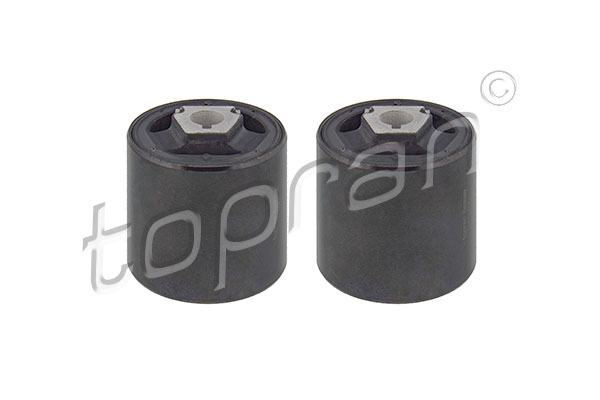 Mounting Kit, control/trailing arm (501 038)