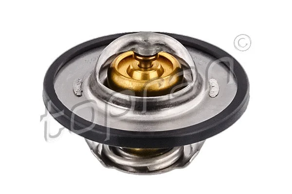 Thermostat, coolant (720 750)