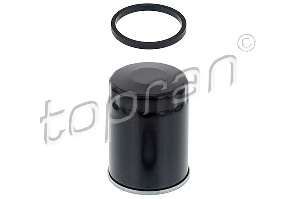 Oil Filter (701 544)
