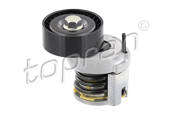 Belt Tensioner, V-ribbed belt (113 261)
