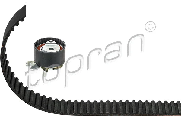 Timing Belt Kit (700 785)