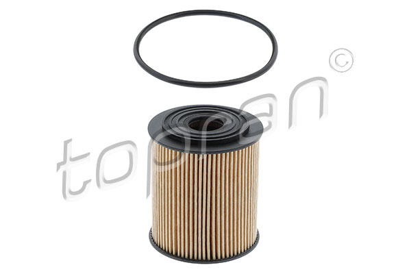 Oil Filter (501 071)