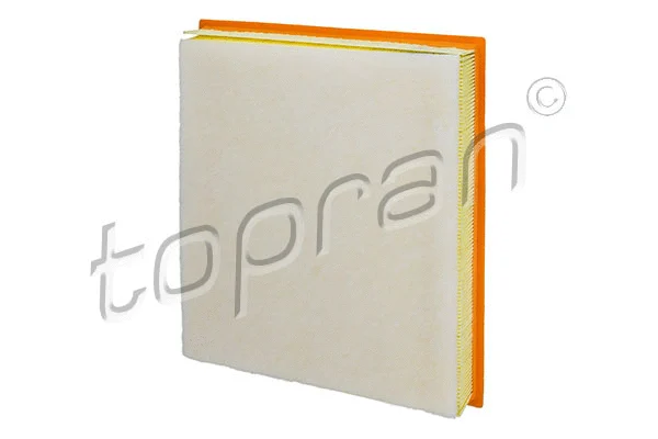 Air Filter (207 034)