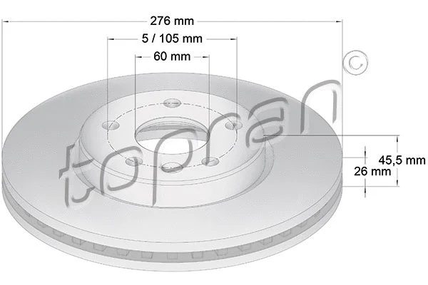 Brake Disc (207 981)