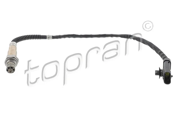Lambda Sensor (207 860)