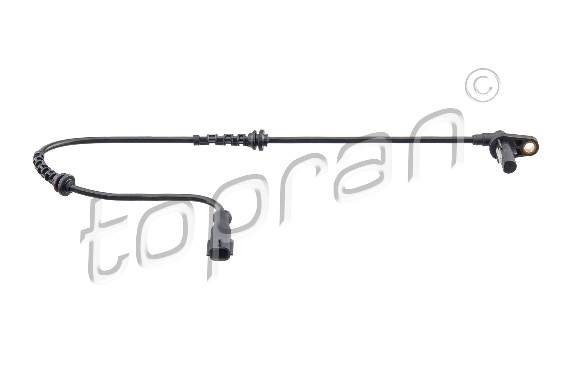 Sensor, wheel speed (701 984)