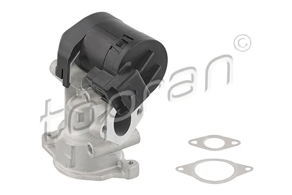 EGR Valve (639 155)