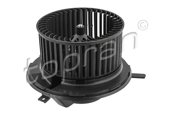 Interior Blower (113 720)
