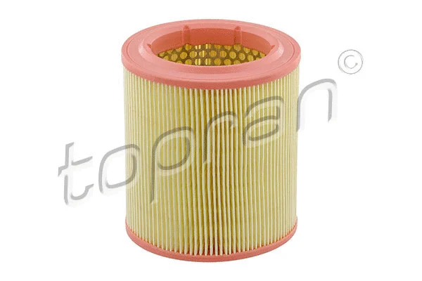 Air Filter (720 956)