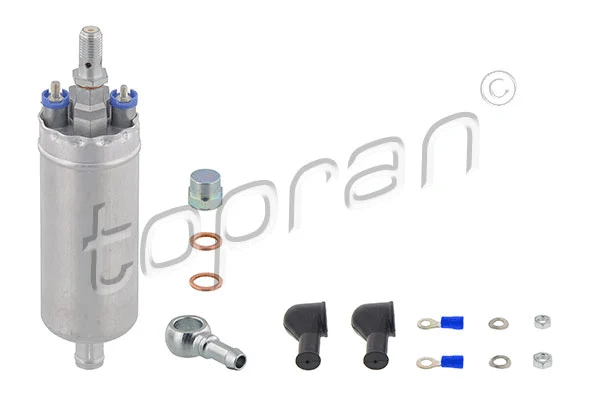 Fuel Pump (400 898)