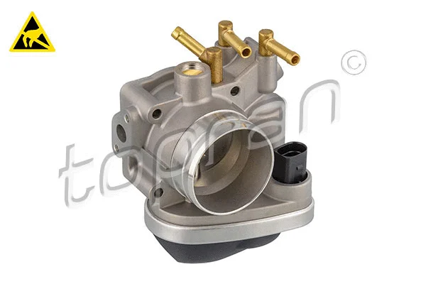 Throttle Body (117 300)