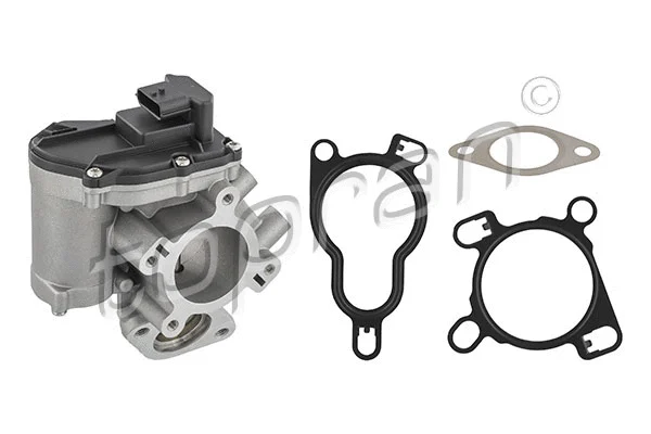 EGR Valve (639 177)