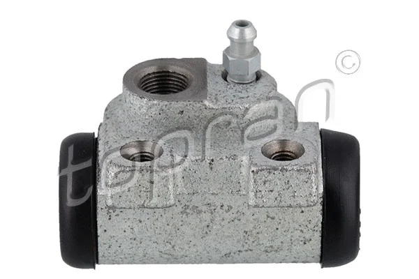 Wheel Brake Cylinder (720 981)