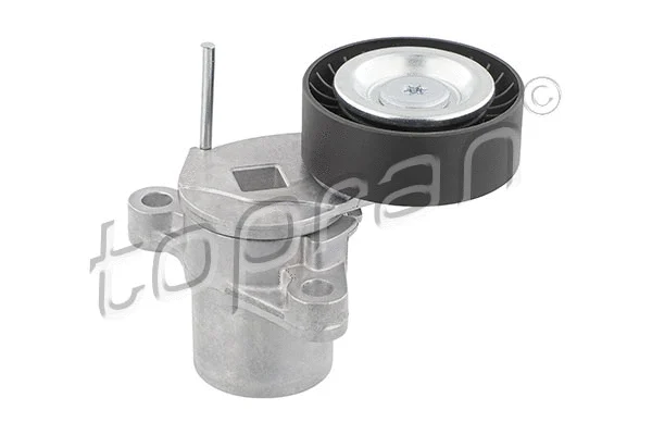 Belt Tensioner, V-ribbed belt (304 469)