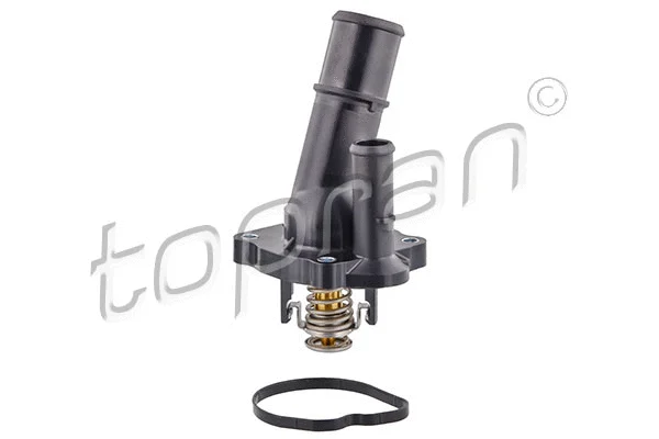 Thermostat, coolant (302 800)