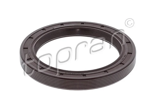 Shaft Seal, crankshaft (300 418)