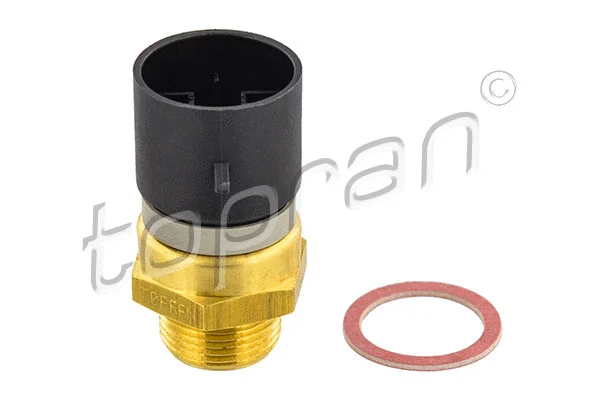 Temperature Switch, radiator fan (202 355)