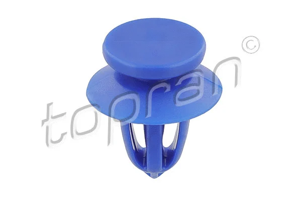 Holding Clip, interior panels (209 165)