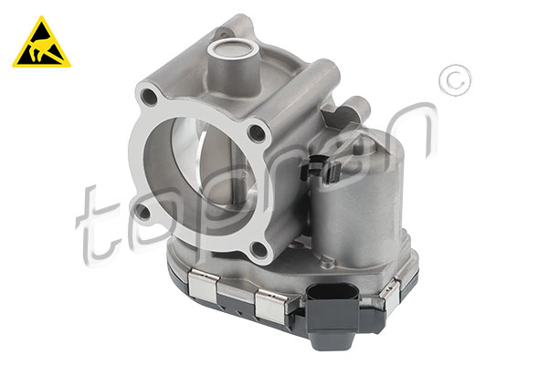 Throttle Body (409 925)