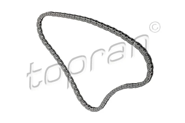 Timing Chain (117 863)