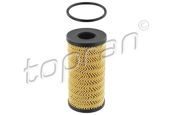 Oil Filter (625 376)