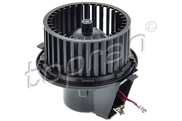 Interior Blower (107 228)