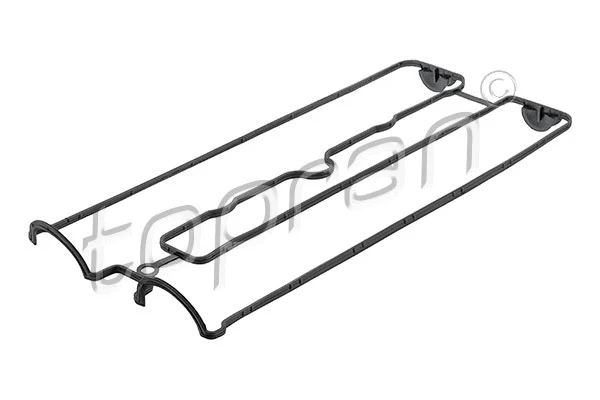 Gasket, cylinder head cover (201 131)
