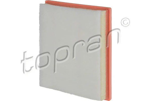 Air Filter (208 065)