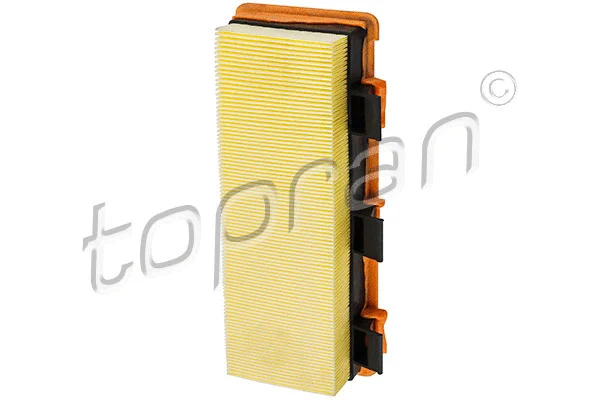 Air Filter (700 247)