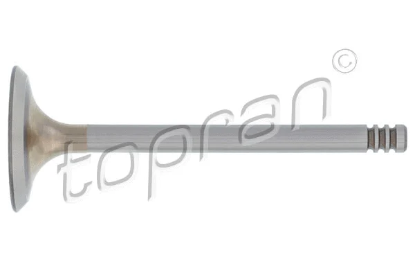 Intake Valve (100 613)