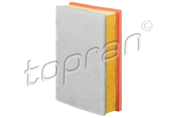 Air Filter (208 024)