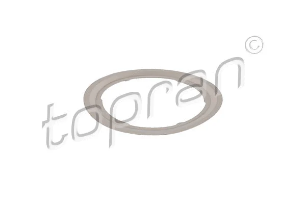 Gasket, EGR valve (305 143)
