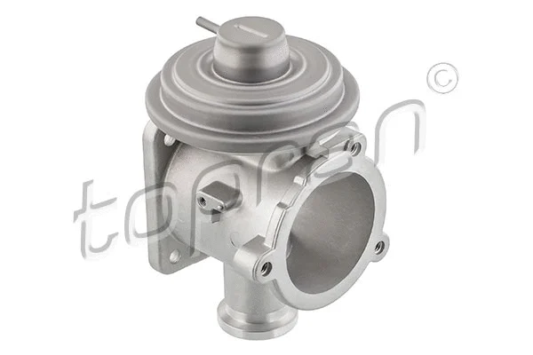 EGR Valve (639 181)