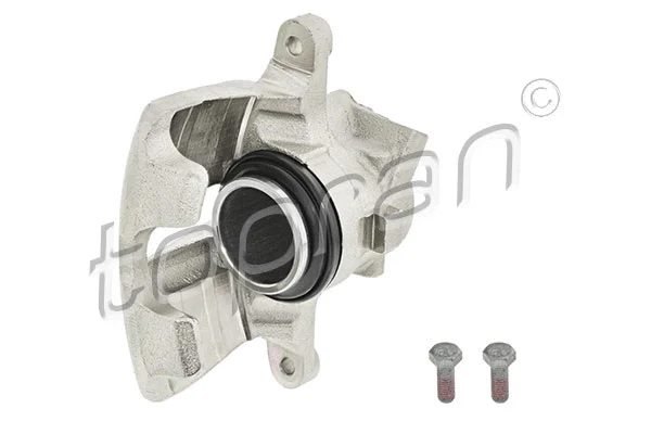 Brake Caliper (110 287)
