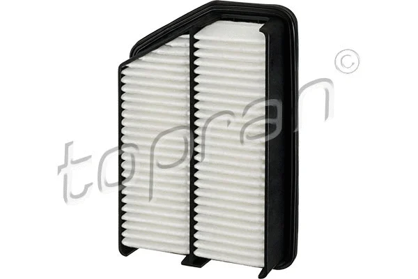 Air Filter (820 854)