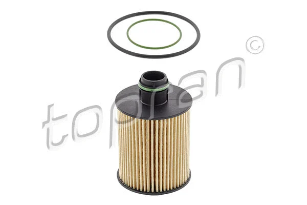 Oil Filter (207 730)