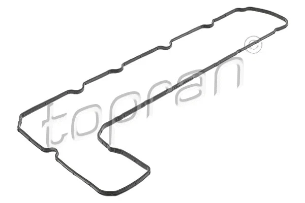 Gasket, cylinder head cover (722 538)