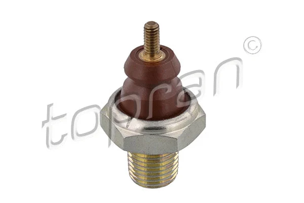 Oil Pressure Switch (300 541)