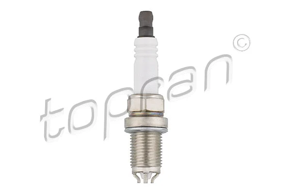 Spark Plug (501 331)