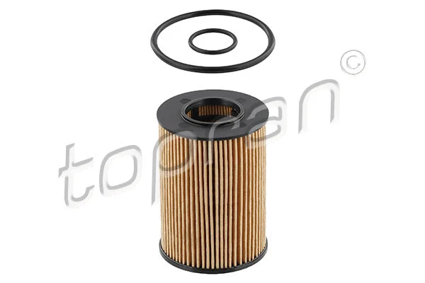 Oil Filter (401 443)