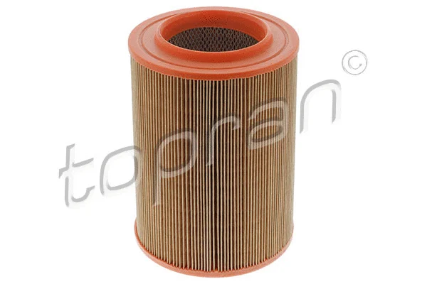 Air Filter (100 806)