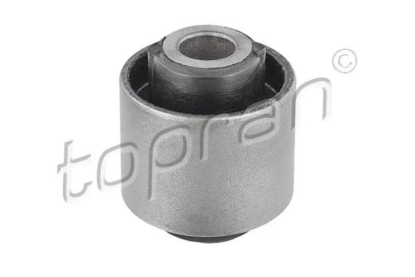 Mounting, control/trailing arm (301 544)
