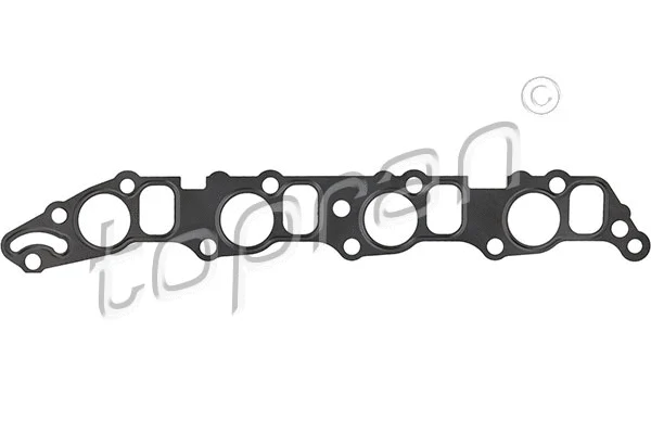 Gasket, intake manifold (207 610)