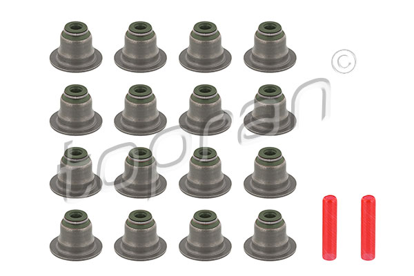 Seal Set, valve stem (501 425)
