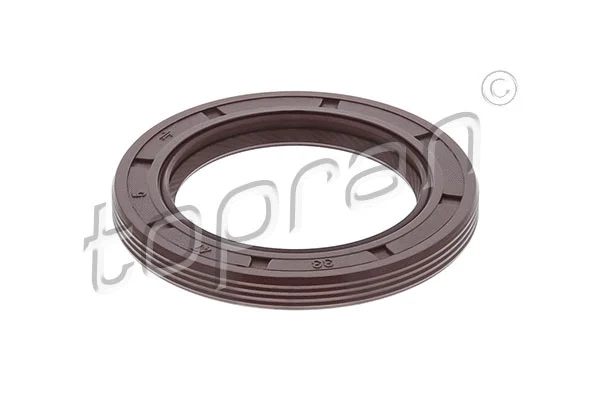 Shaft Seal, crankshaft (302 175)
