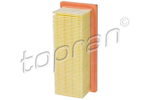 Air Filter (700 246)