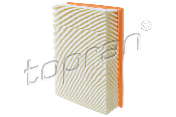 Air Filter (109 043)