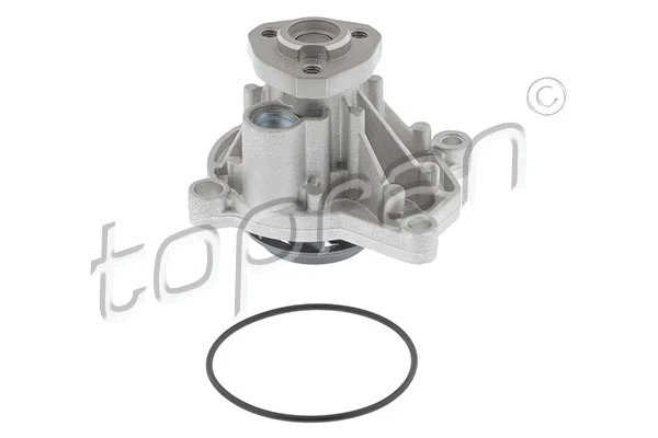 Water Pump, engine cooling (110 032)