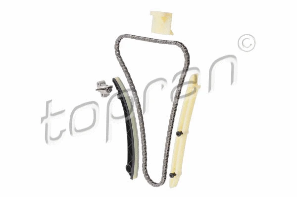 Timing Chain Kit (208 838)