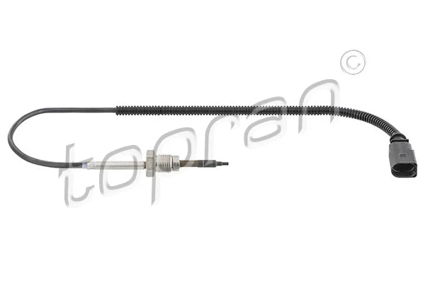 Sensor, exhaust gas temperature (638 563)